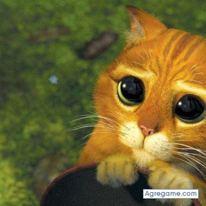 Luxit9 chico soltero en La Paz