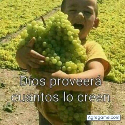 Pencitys chico soltero en La Candelaria