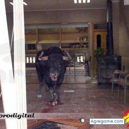 Raulvil chico soltero en Peñiscola