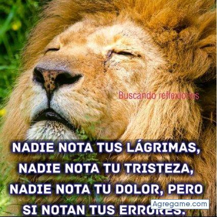 walterojeda4402 chico soltero en General Hornos