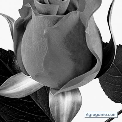 Antonio8282 chico soltero en Madrid