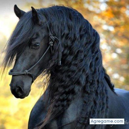 yako02 chico soltero en Candelaria