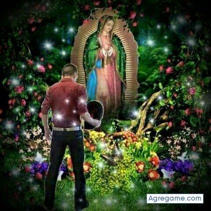 josehernandez8469 chico soltero en Cleveland