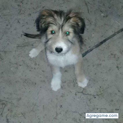 Lucho1739 chico soltero en Paraná