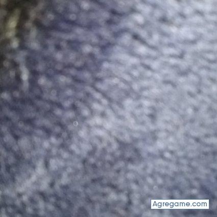 Solmarino chico soltero en Springfield