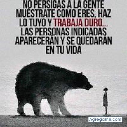 miguelangel9314 chico soltero en Centralia