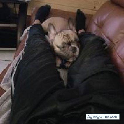 orlandomoon chico soltero en 