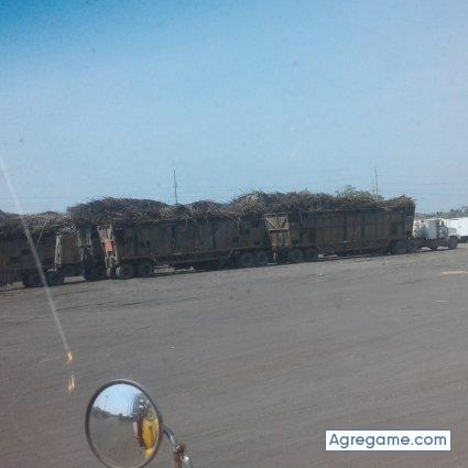 josegomez5807 chico soltero en San Miguel Acatan