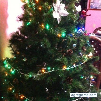 Cicatriz chico soltero en Tlaxcala