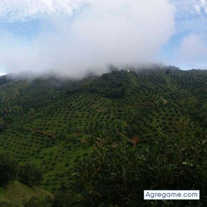 hjcm1980 chico soltero en Valdoviño