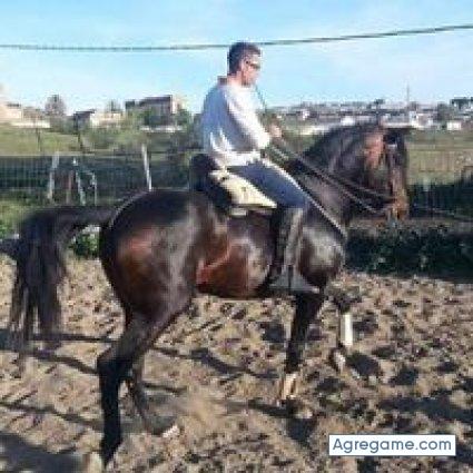 jesusroblas chico soltero en Sevilla