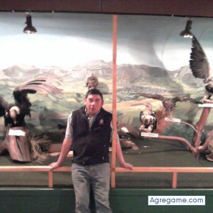 pedroenrique3120 chico soltero en Doñihue