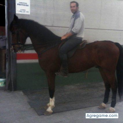 javilopez4310 chico soltero en Peal De Becerro