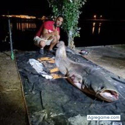 gomezde chico soltero en Zalamea De La Serena