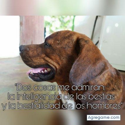 ElRalex chico soltero en Las Tablas