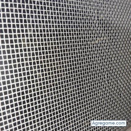 200493 chico soltero en Alexandria