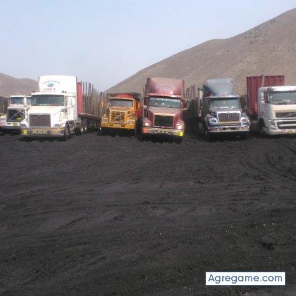 Cesareto1975 chico soltero en Santa Clara