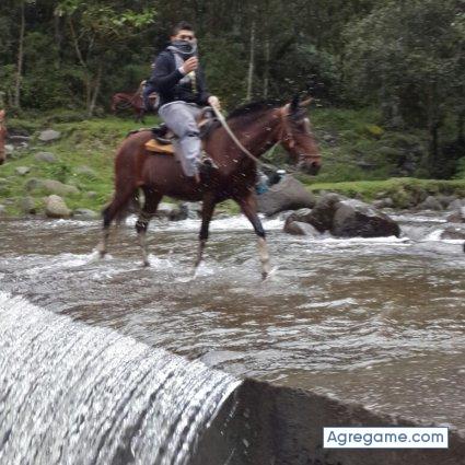 juandavid2 chico soltero en Pedregal