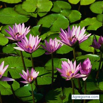 edelgado79 chico soltero en Pampanito