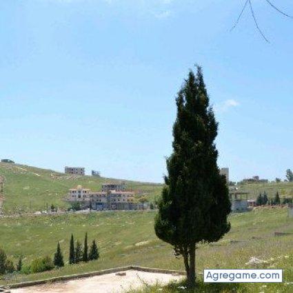 mohamadali chico soltero en Ciudad Guayana