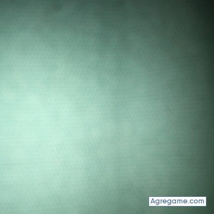 Naseer chico soltero en 