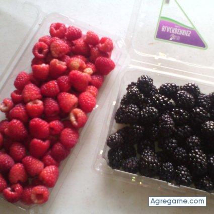 Pulpote chico soltero en Apatzingán