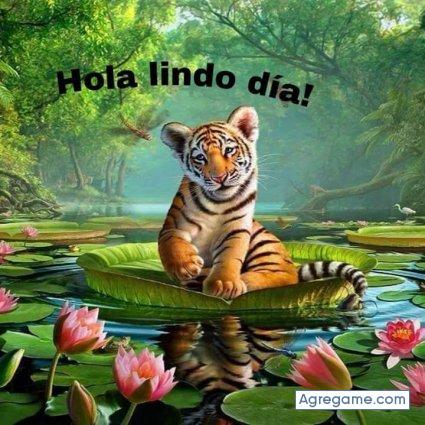 xavierodriguez chico soltero en San Lorenzo Valle