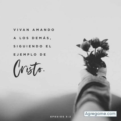 elbegon chico soltero en Kennett Square