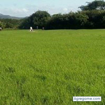 jagarcia9491 chico divorciado en Sabana Grande