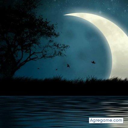 escolano chico soltero en álvaro Obregón