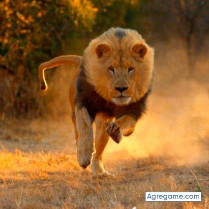 luisvillada chico soltero en Barbosa