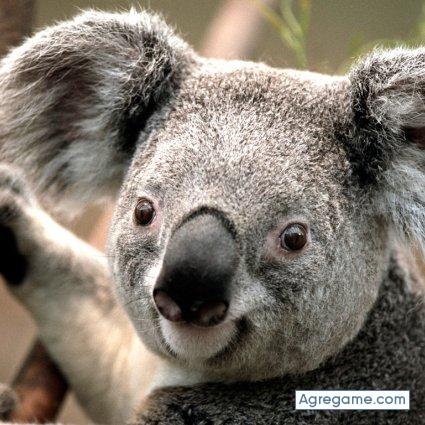 JCPerea chico soltero en Atalaya