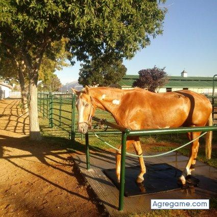 Carlosweiss chico soltero en Las Vegas