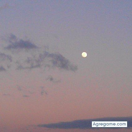 Abdelxxiv chico soltero en Nava De La Asuncion