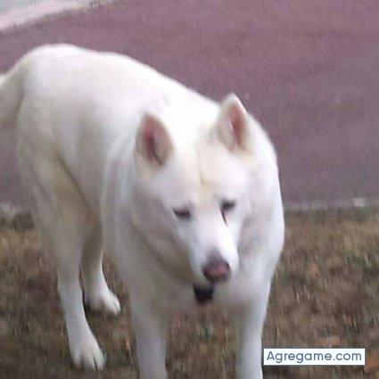 franciscoballesteros chico soltero en Villabona