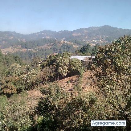 Eclipse50282 chico soltero en Malacatan