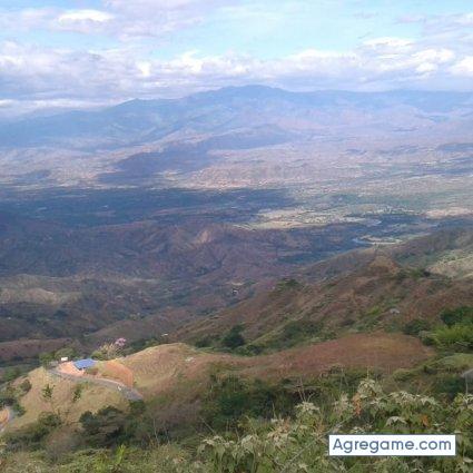 camilorengifo chico soltero en Mercaderes