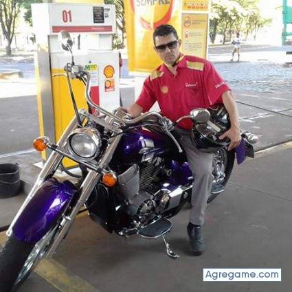 Chiuaua chico soltero en 