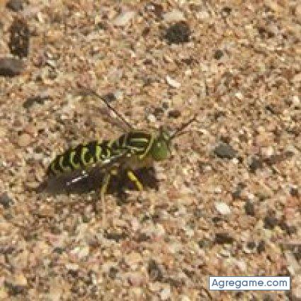 rodrigolozano9218 chico soltero en El Salvador