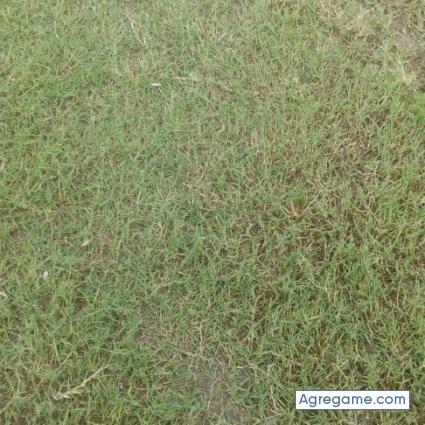 estebanalbornoz chico soltero en Olta