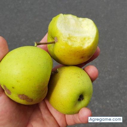 kike696969 chico soltero en Santo Domingo Norte