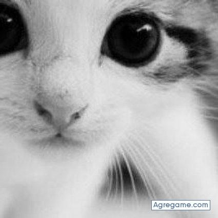 quiroz2133 chico soltero en Camaná