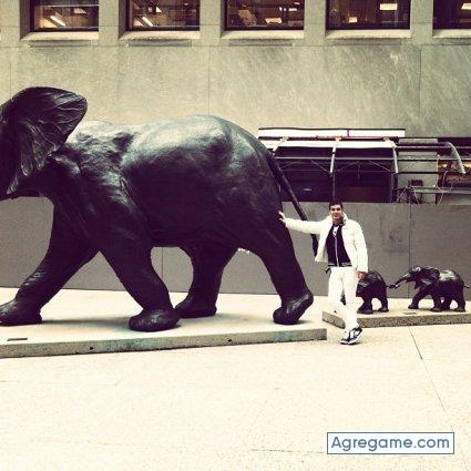 Aruasco chico soltero en 