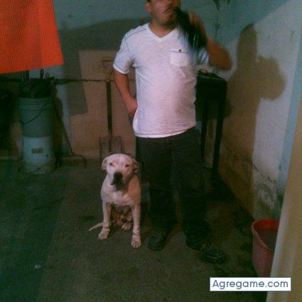 garciamadres chico casado en Cancún