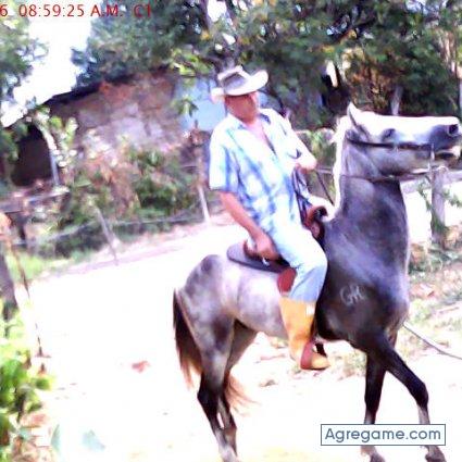 Cardo1 chico soltero en Neiva