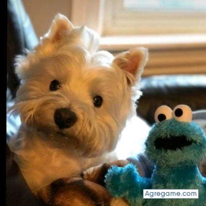 alexanderkyo chico soltero en Huanta