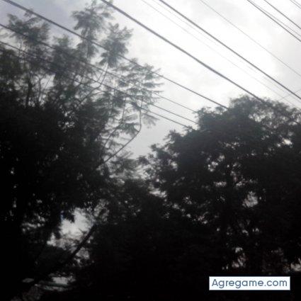 Jorge2703 chico soltero en Sarchí Sur