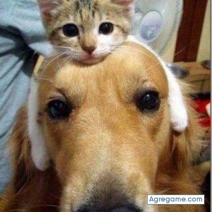 masajito chico soltero en Lake Wales