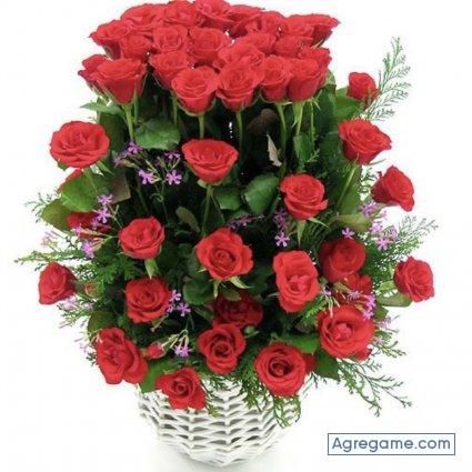 Bobo2018 chico soltero en Gastonia