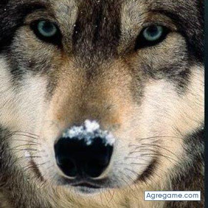 bubut chico soltero en Huanta